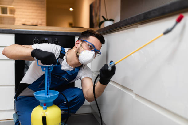 Best Mosquito Control Services  in Central High, OK