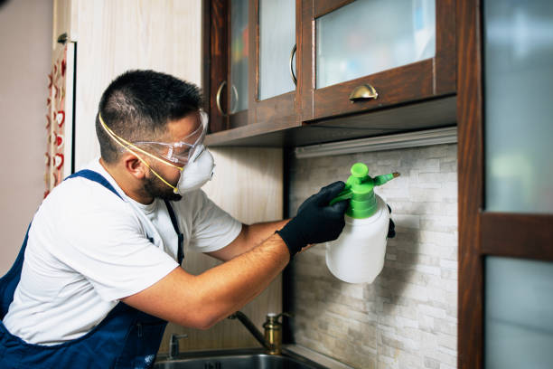 Best Residential Pest Control  in Central High, OK