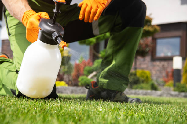 Best Bed Bug Extermination  in Central High, OK