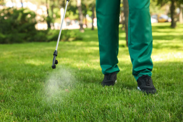 Best Bed Bug Extermination  in Central High, OK