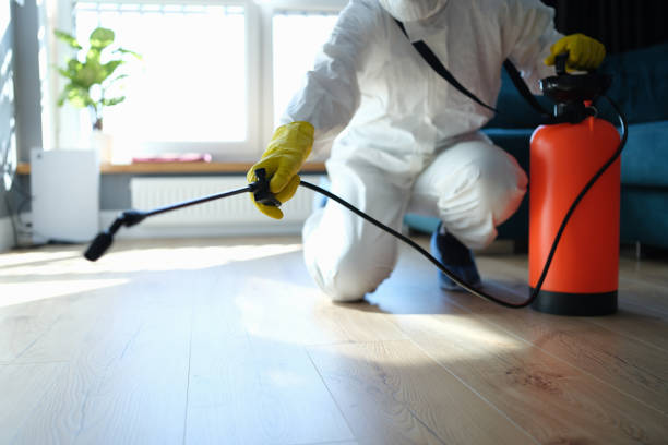 Best Flea Control Services  in Central High, OK
