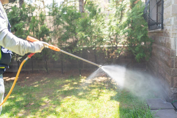Best Pest Removal Services  in Central High, OK