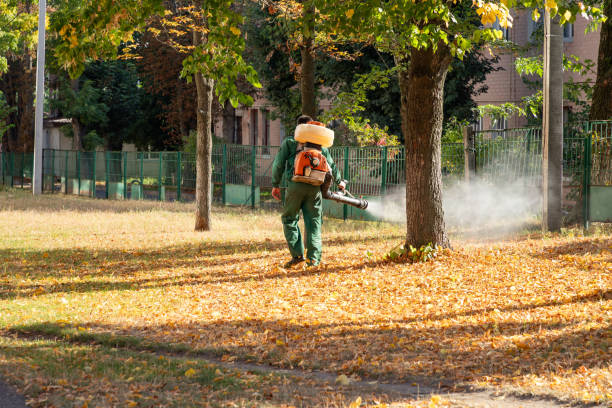 Best Best Pest Control Companies  in Central High, OK