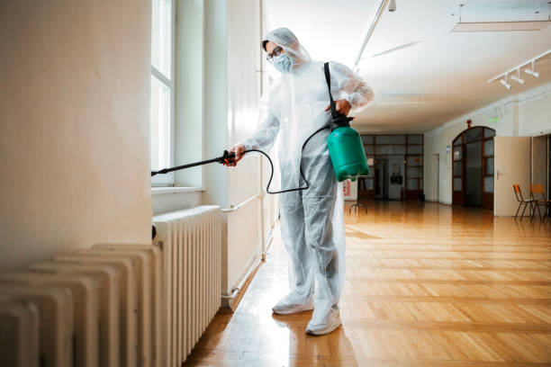 Best Termite Control Services  in Central High, OK