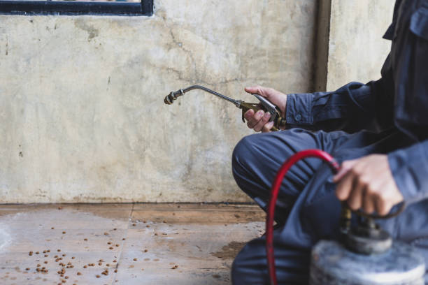 Best Pest Prevention Services  in Central High, OK